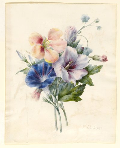 Blumen einschließlich blauer Winde, 1836 von V. Medard